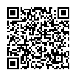 Link to your fundraiser QRCode - Fundraising