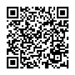 Link to your fundraiser QRCode - Fundraising