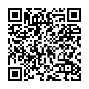 Link to your fundraiser QRCode - Fundraising