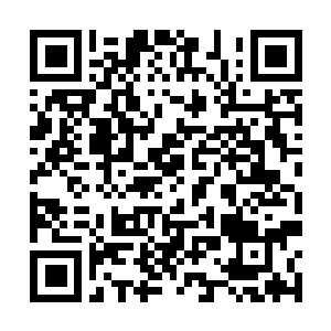Link to your fundraiser QRCode - Fundraising