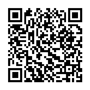 Link to your fundraiser QRCode - Fundraising