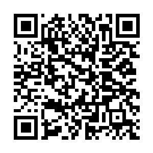 Link to your fundraiser QRCode - Fundraising