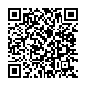 Link to your fundraiser QRCode - Fundraising