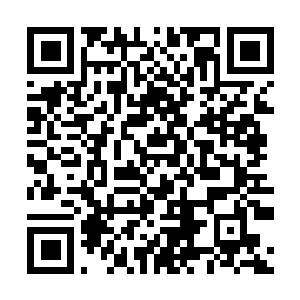Link to your fundraiser QRCode - Fundraising