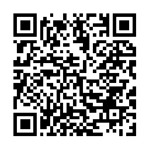 Link to your fundraiser QRCode - Fundraising