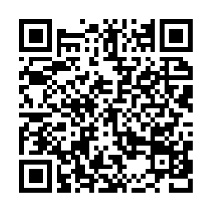 Link to your fundraiser QRCode - Fundraising