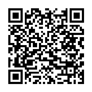 Link to your fundraiser QRCode - Fundraising