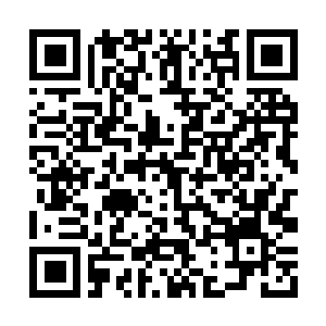 Link to your fundraiser QRCode - Fundraising