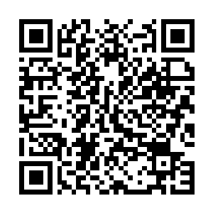 Link to your fundraiser QRCode - Fundraising