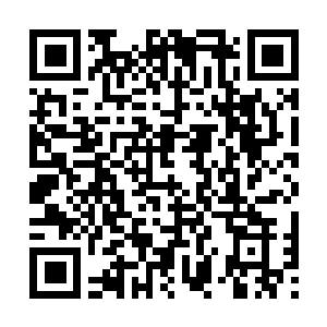 Link to your fundraiser QRCode - Fundraising