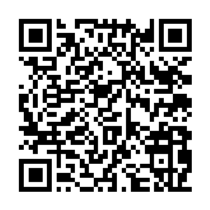 Link to your fundraiser QRCode - Fundraising