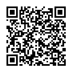 Link to your fundraiser QRCode - Fundraising