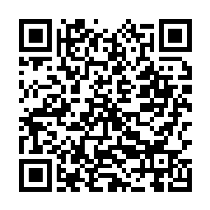 Link to your fundraiser QRCode - Fundraising