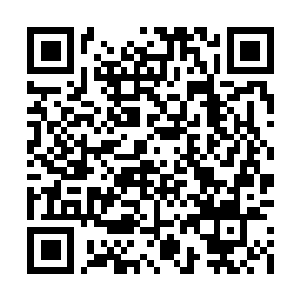 Link to your fundraiser QRCode - Fundraising