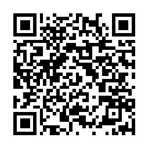 Link to your fundraiser QRCode - Fundraising