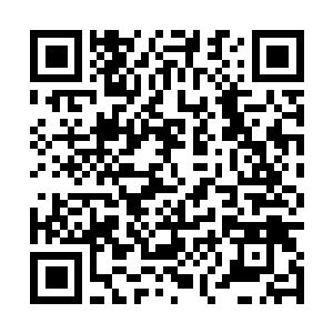 Link to your fundraiser QRCode - Fundraising