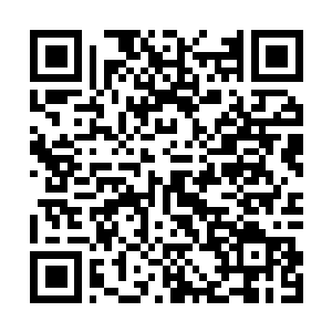 Link to your fundraiser QRCode - Fundraising