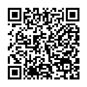 Link to your fundraiser QRCode - Fundraising