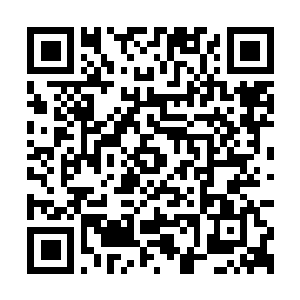 Link to your fundraiser QRCode - Fundraising
