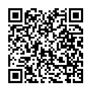 Link to your fundraiser QRCode - Fundraising