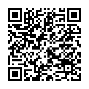 Link to your fundraiser QRCode - Fundraising