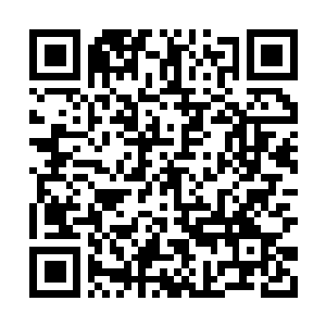 Link to your fundraiser QRCode - Fundraising