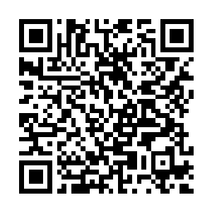 Link to your fundraiser QRCode - Fundraising
