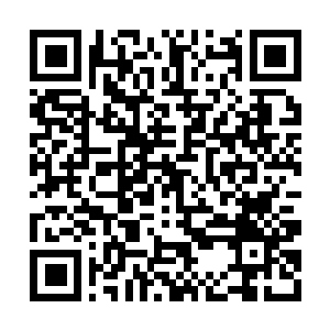Link to your fundraiser QRCode - Fundraising