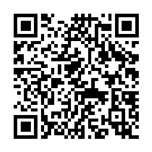 Link to your fundraiser QRCode - Fundraising