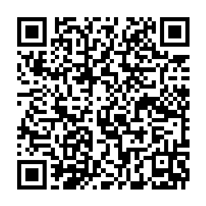 Link to your fundraiser QRCode - Fundraising