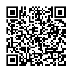Link to your fundraiser QRCode - Fundraising