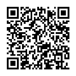 Link to your fundraiser QRCode - Fundraising