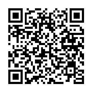 Link to your fundraiser QRCode - Fundraising