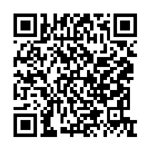 Link to your fundraiser QRCode - Fundraising