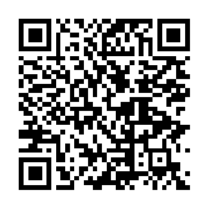 Link to your fundraiser QRCode - Fundraising
