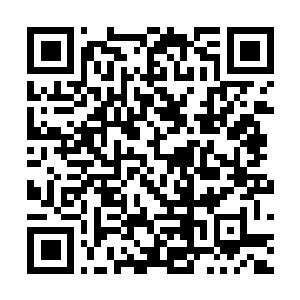 Link to your fundraiser QRCode - Fundraising
