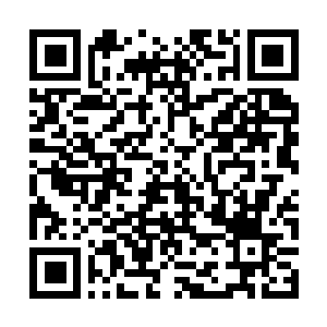 Link to your fundraiser QRCode - Fundraising