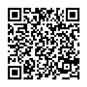 Link to your fundraiser QRCode - Fundraising