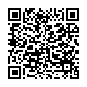 Link to your fundraiser QRCode - Fundraising