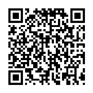 Link to your fundraiser QRCode - Fundraising