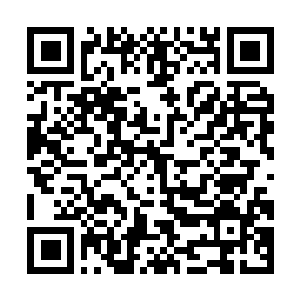 Link to your fundraiser QRCode - Fundraising