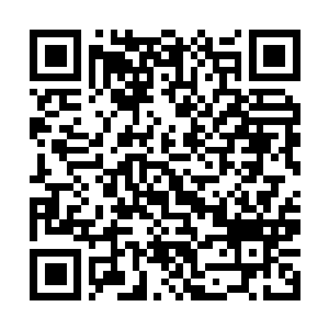 Link to your fundraiser QRCode - Fundraising