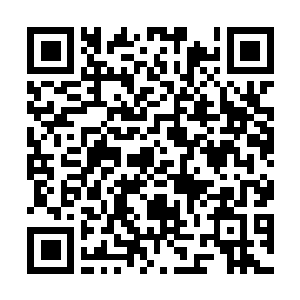 Link to your fundraiser QRCode - Fundraising