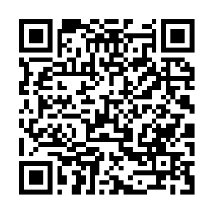 Link to your fundraiser QRCode - Fundraising