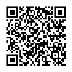 Link to your fundraiser QRCode - Fundraising