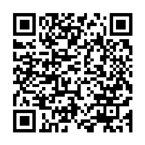 Link to your fundraiser QRCode - Fundraising