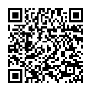 Link to your fundraiser QRCode - Fundraising