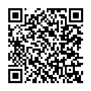Link to your fundraiser QRCode - Fundraising