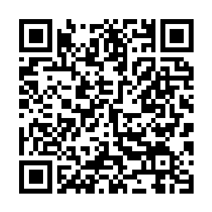 Link to your fundraiser QRCode - Fundraising