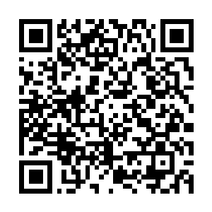 Link to your fundraiser QRCode - Fundraising